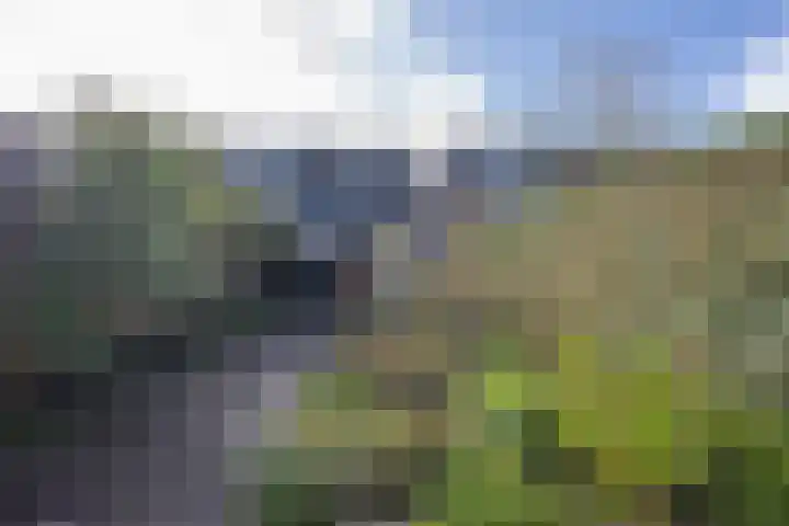 Tulpstraat 17 Tiel thumbnail 37