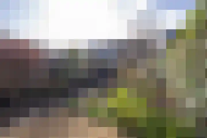 Tulpstraat 17 Tiel thumbnail 38