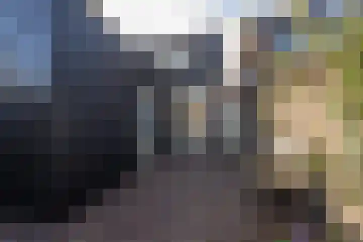 Tulpstraat 17 Tiel thumbnail 39