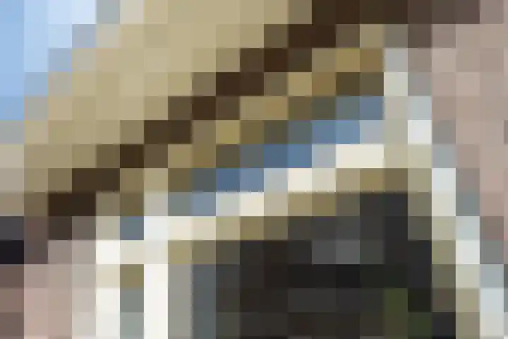 Tulpstraat 17 Tiel thumbnail 6