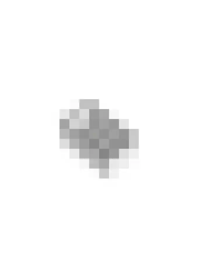 Tulpstraat 17 Tiel thumbnail 65