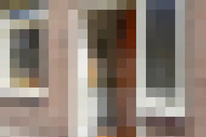 Tulpstraat 17 Tiel thumbnail 7