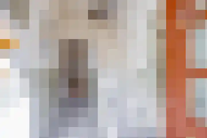 Tulpstraat 17 Tiel thumbnail 8