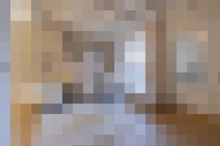 Tulpstraat 17 Tiel thumbnail 9