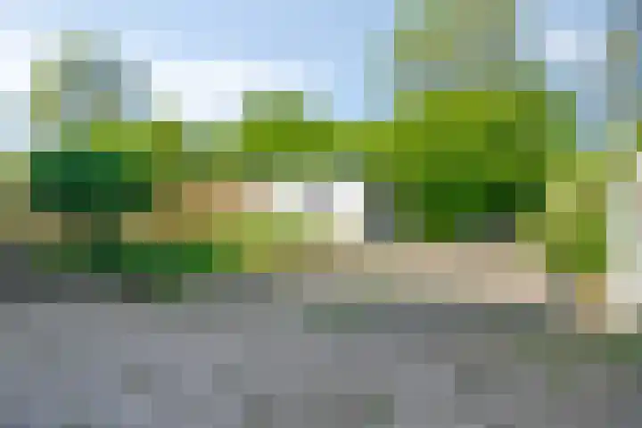 Tulpstraat 18 Sint-Maartensdijk thumbnail 35