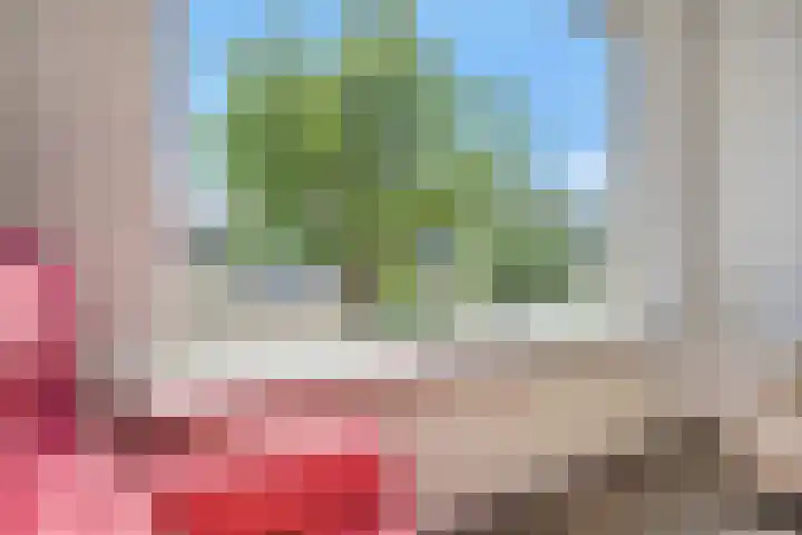 Tulpstraat 18 Sint-Maartensdijk thumbnail 7