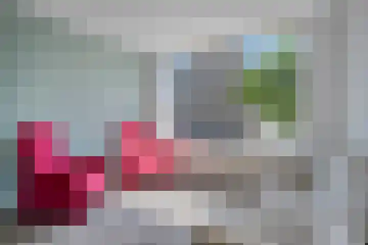 Tulpstraat 18 Sint-Maartensdijk thumbnail 8
