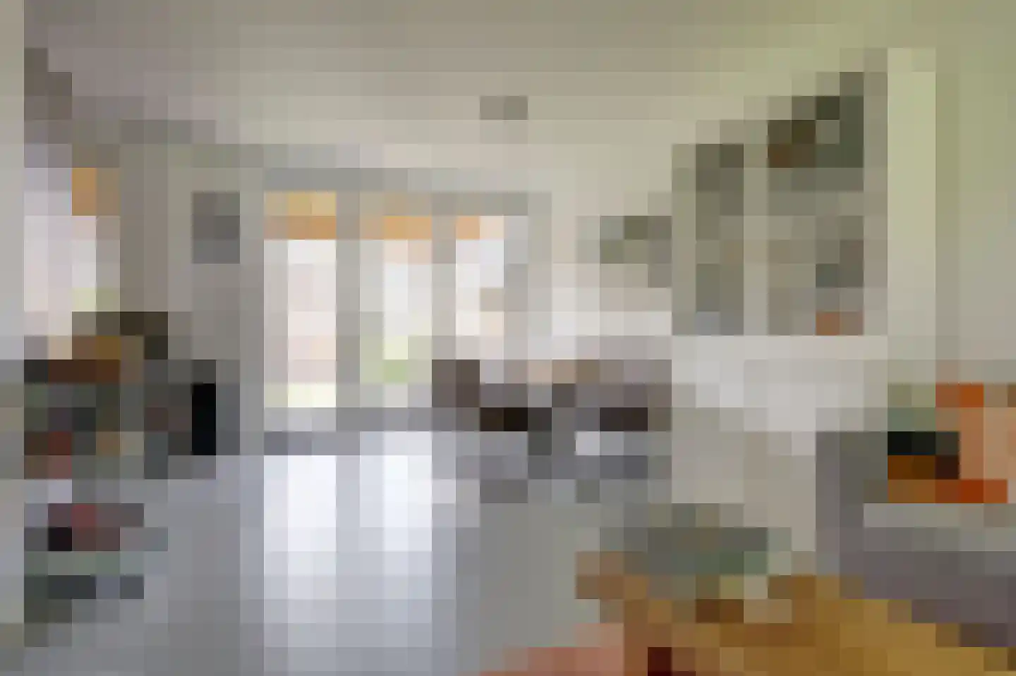 Tulpstraat 18 Spijkenisse thumbnail 10