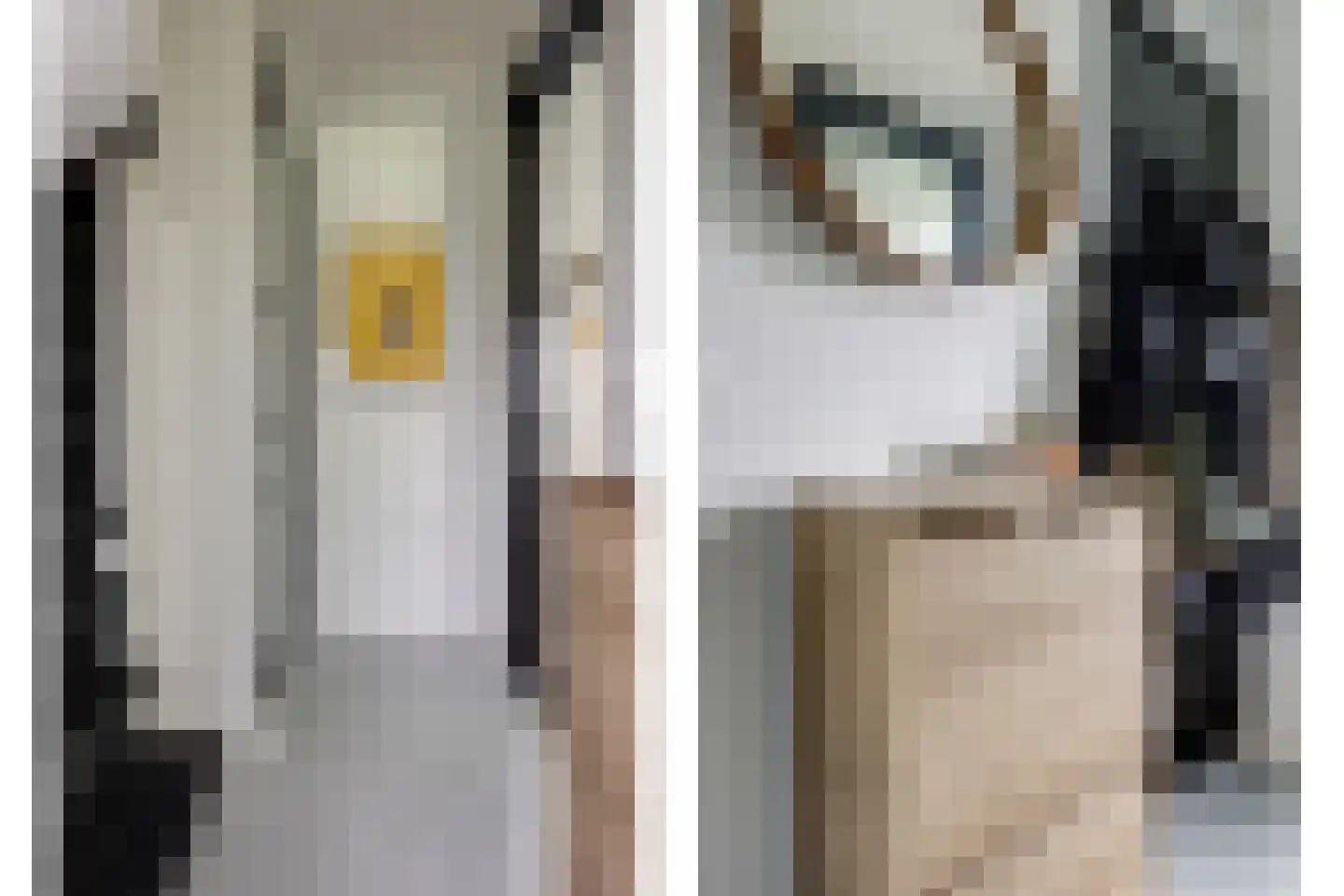 Tulpstraat 18 Spijkenisse thumbnail 20
