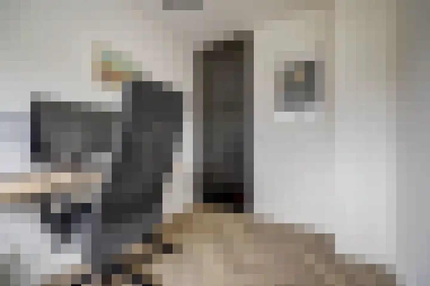 Tulpstraat 18 Spijkenisse thumbnail 24