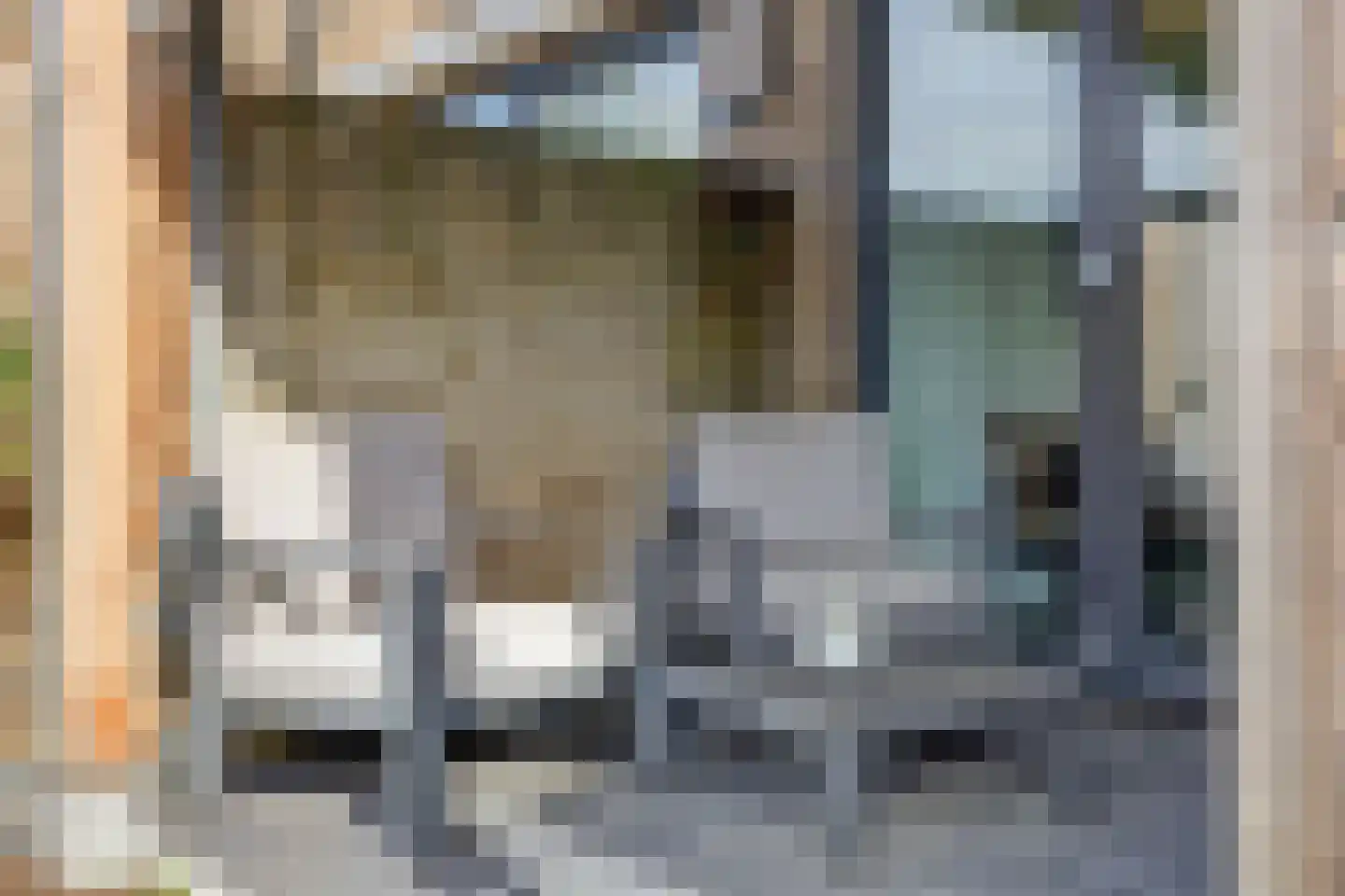Tulpstraat 18 Spijkenisse thumbnail 31