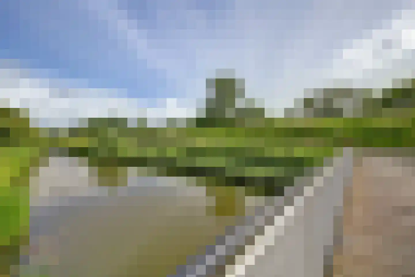 Tulpstraat 18 Spijkenisse thumbnail 33