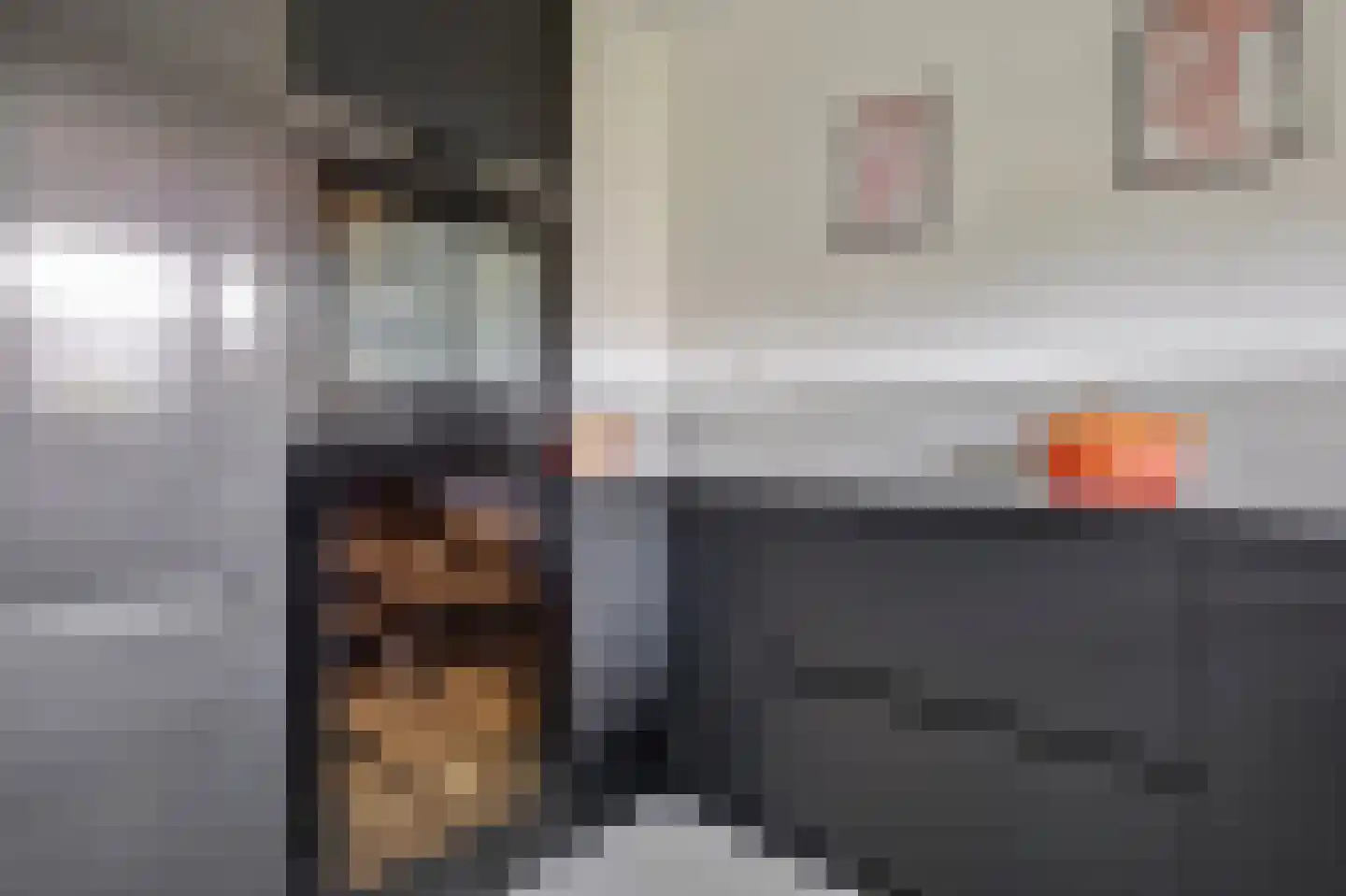 Tulpstraat 18 Spijkenisse thumbnail 4