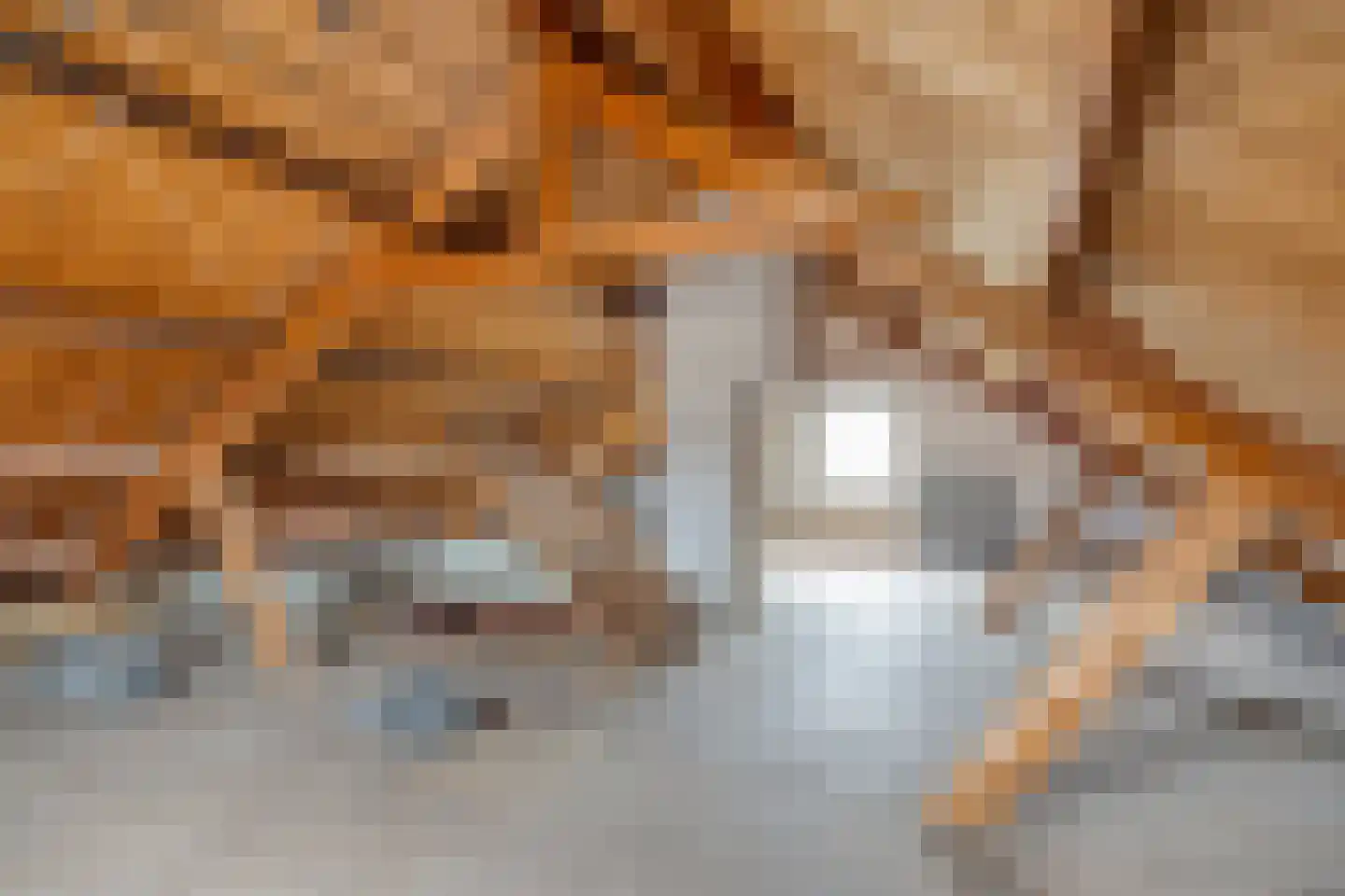 Tulpstraat 19 Malden thumbnail 38