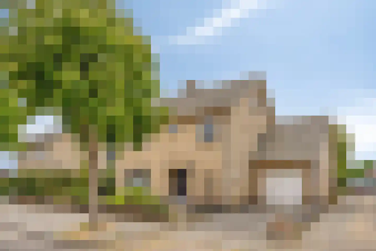Tulpstraat 19 Malden thumbnail 6