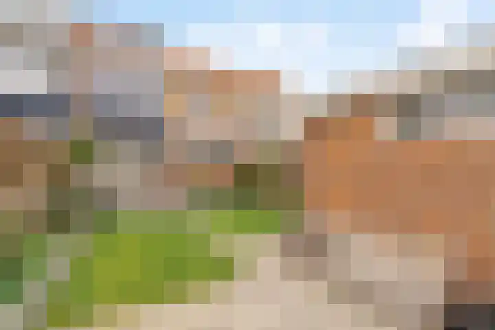 Tulpstraat 19 Noordwijk thumbnail 15