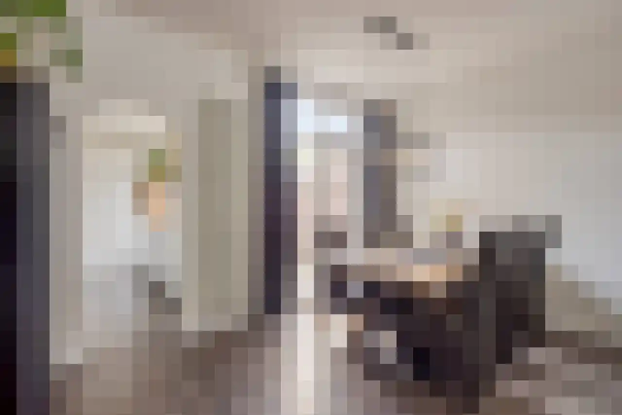 Tulpstraat 19 Tiel thumbnail 20
