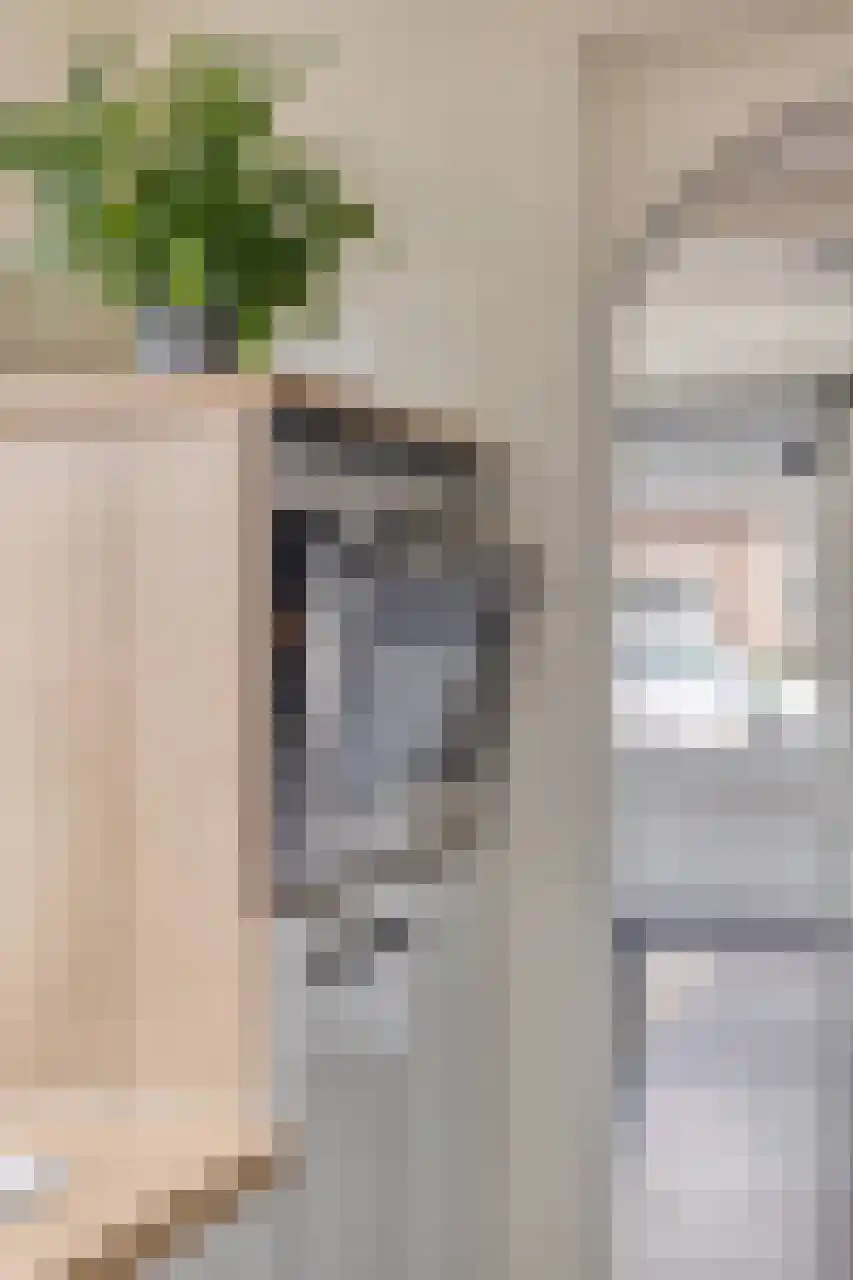 Tulpstraat 19 Tiel thumbnail 23