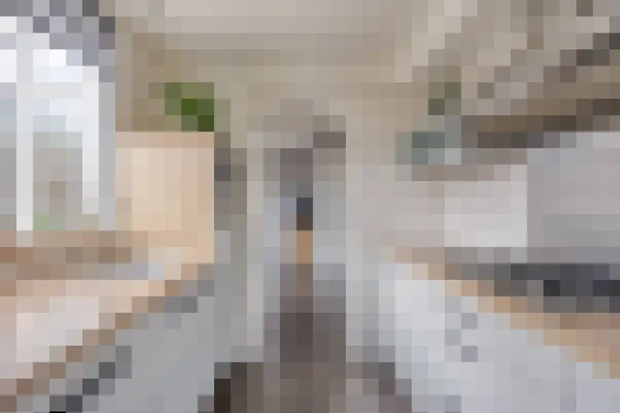 Tulpstraat 19 Tiel thumbnail 24