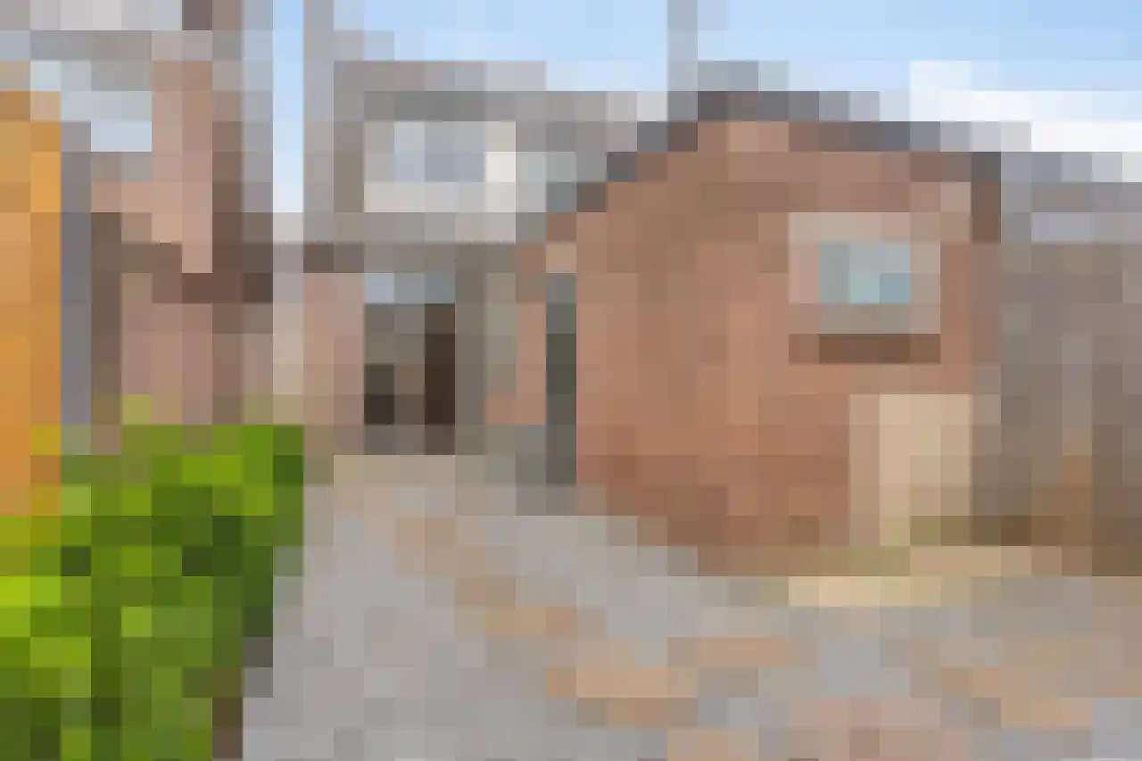 Tulpstraat 19 Tiel thumbnail 40
