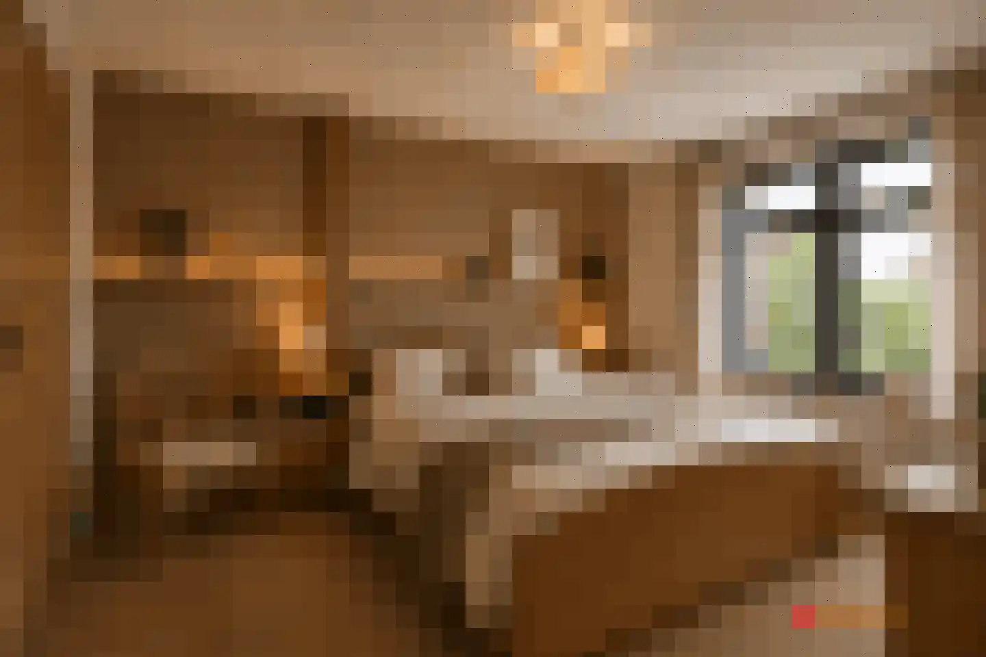 Tulpstraat 2 a Oldenzaal thumbnail 20