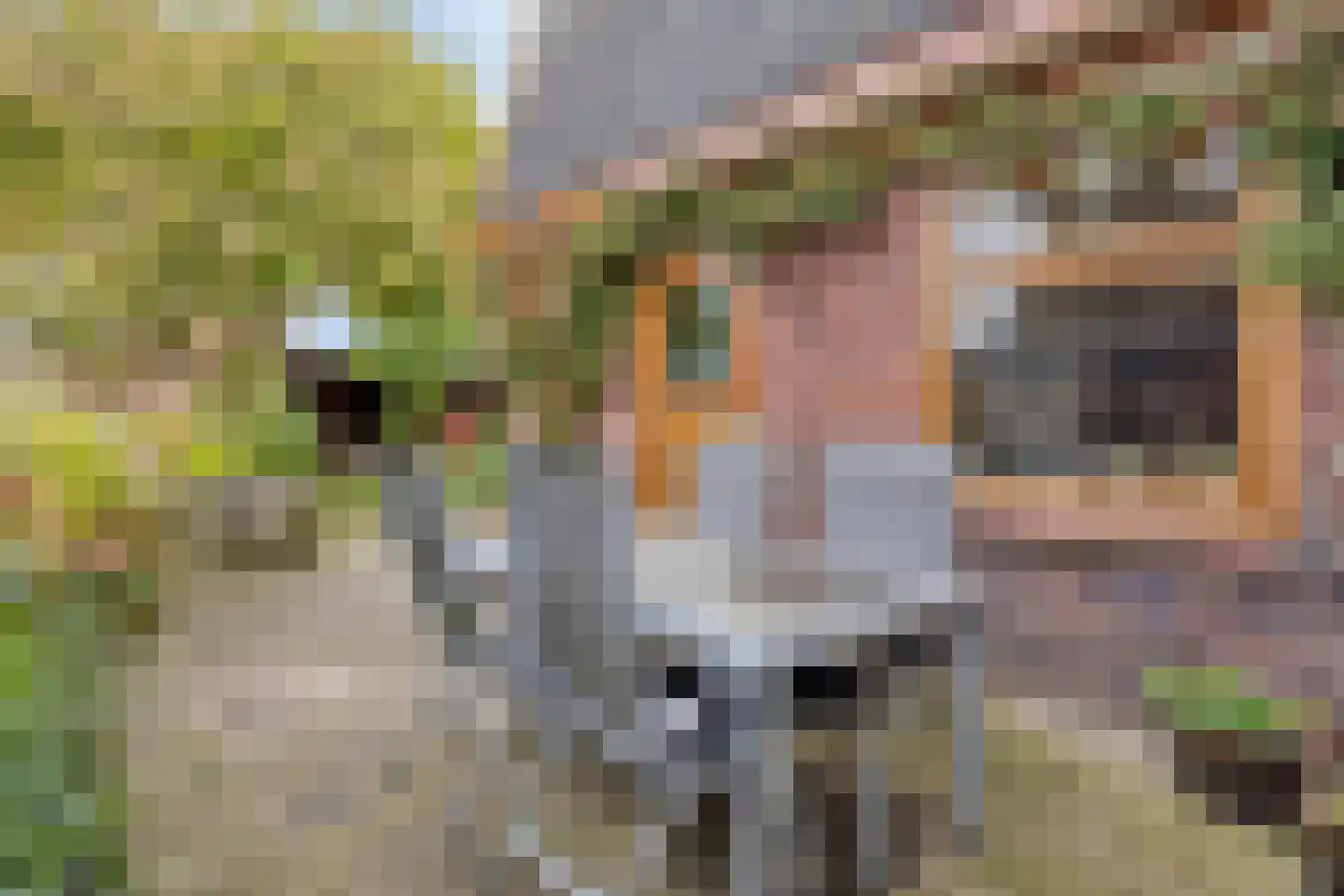 Tulpstraat 2 a Oldenzaal thumbnail 27