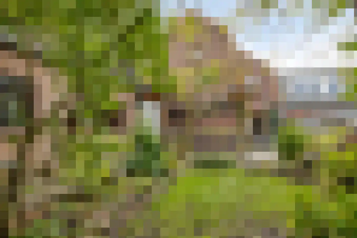 Tulpstraat 2 a Oldenzaal thumbnail 28