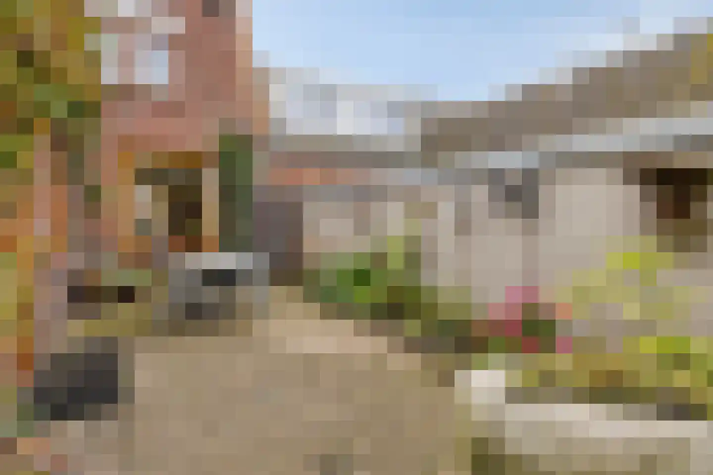 Tulpstraat 2 a Oldenzaal thumbnail 29