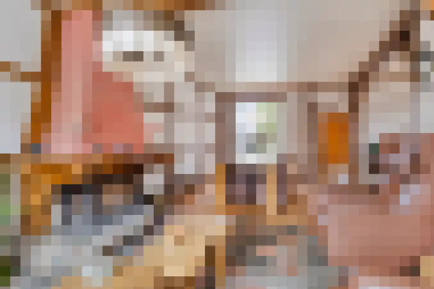 Tulpstraat 2 a Oldenzaal thumbnail 5