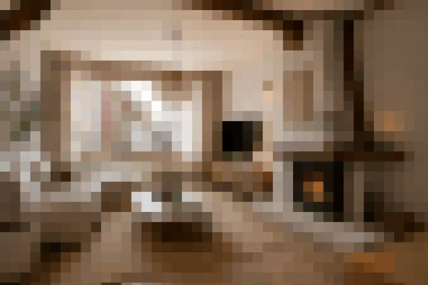 Tulpstraat 2 a Oldenzaal thumbnail 7