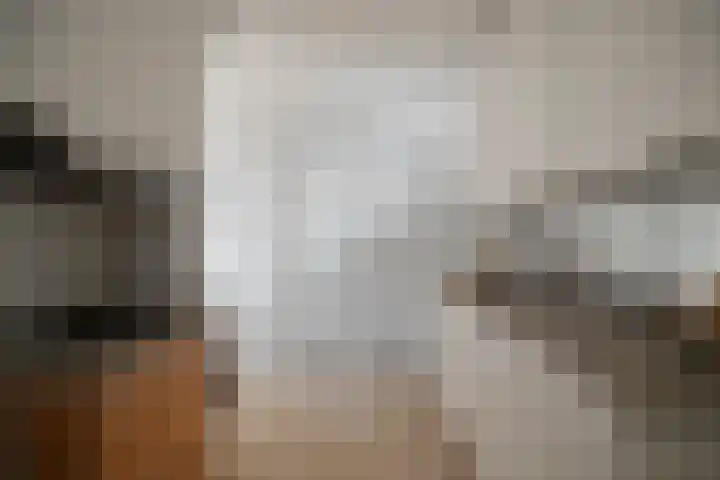 Tulpstraat 2 Alkmaar thumbnail 12