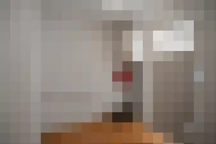 Tulpstraat 2 Alkmaar thumbnail 17