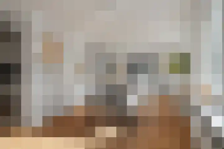 Tulpstraat 2 Alkmaar thumbnail 6