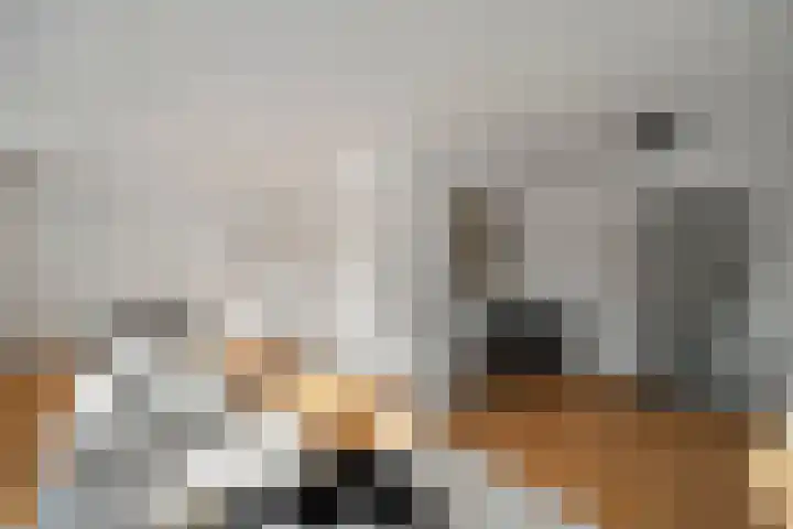 Tulpstraat 2 Alkmaar thumbnail 8