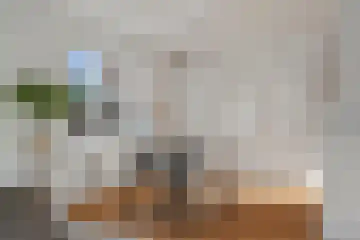 Tulpstraat 2 Alkmaar thumbnail 9