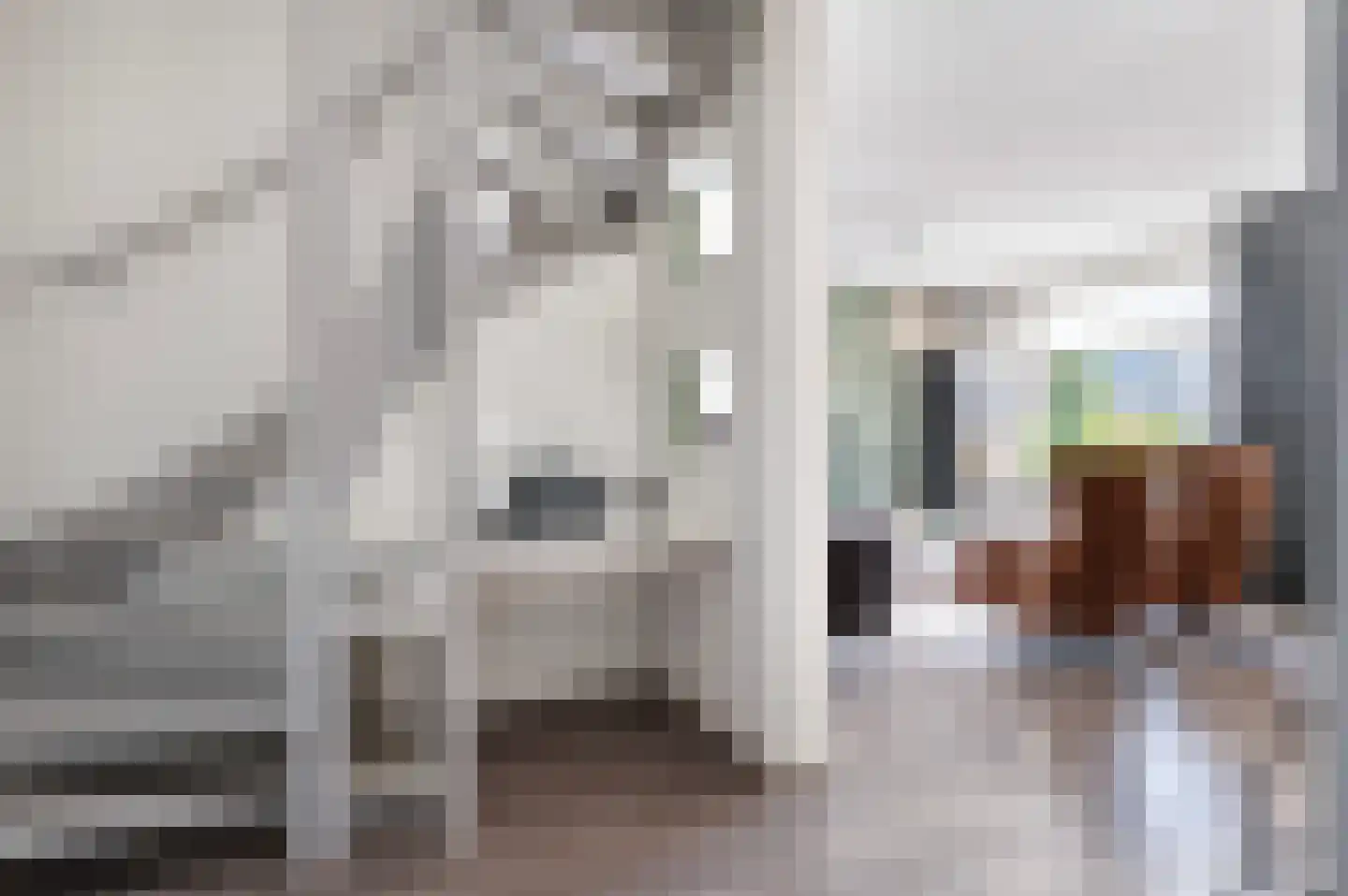 Tulpstraat 2 Eibergen thumbnail 11
