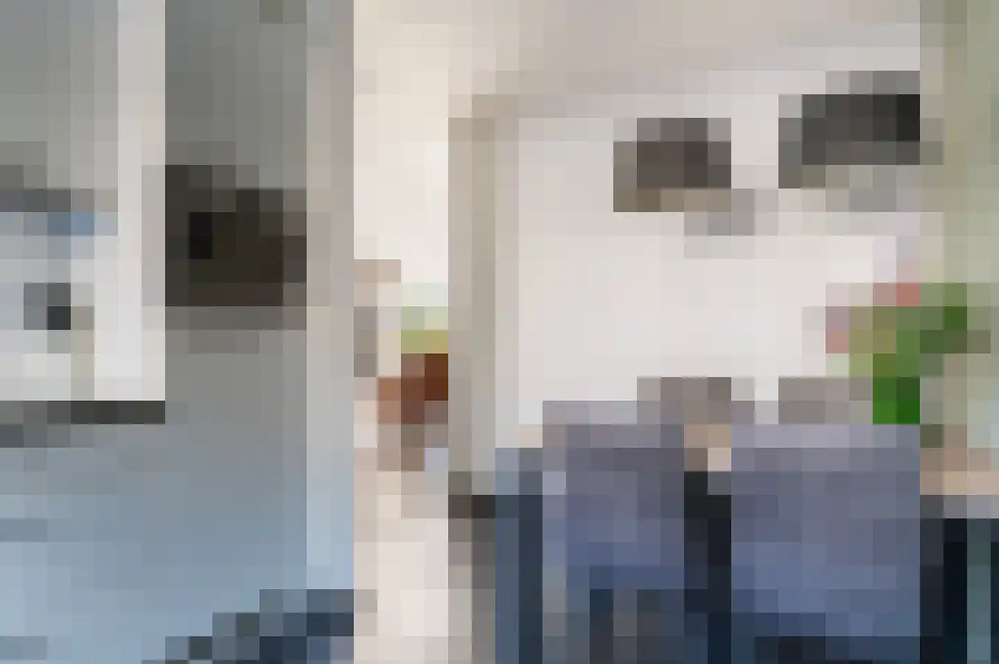 Tulpstraat 2 Eibergen thumbnail 16