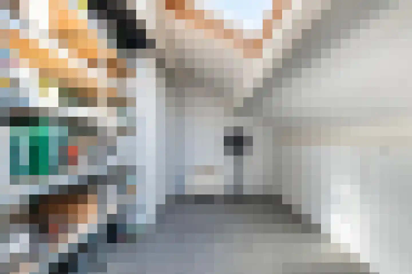 Tulpstraat 2 Eibergen thumbnail 27