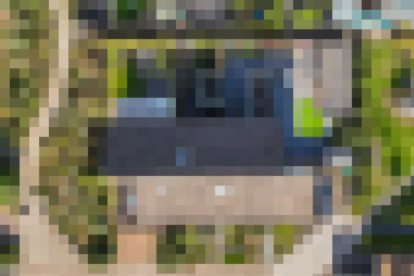 Tulpstraat 2 Eibergen thumbnail 34