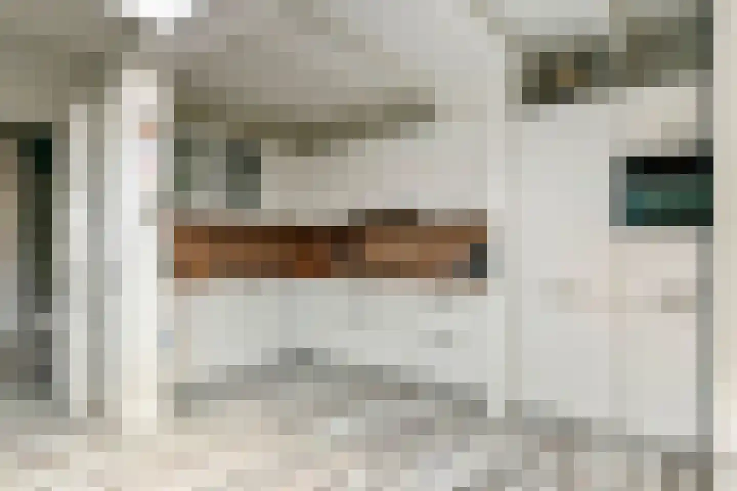 Tulpstraat 2 Tiel thumbnail 11