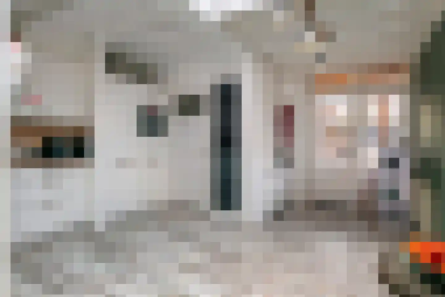 Tulpstraat 2 Tiel thumbnail 12