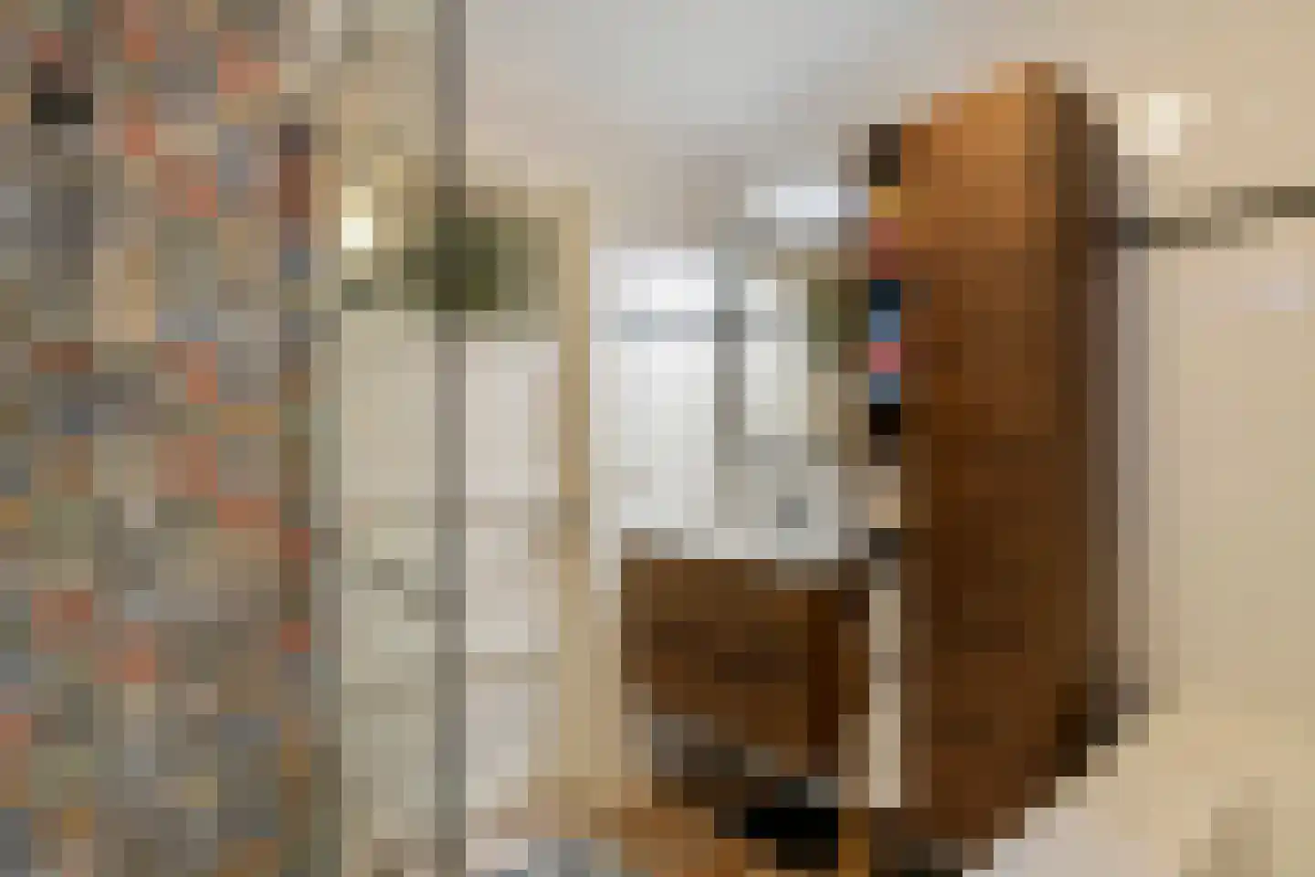 Tulpstraat 2 Tiel thumbnail 17