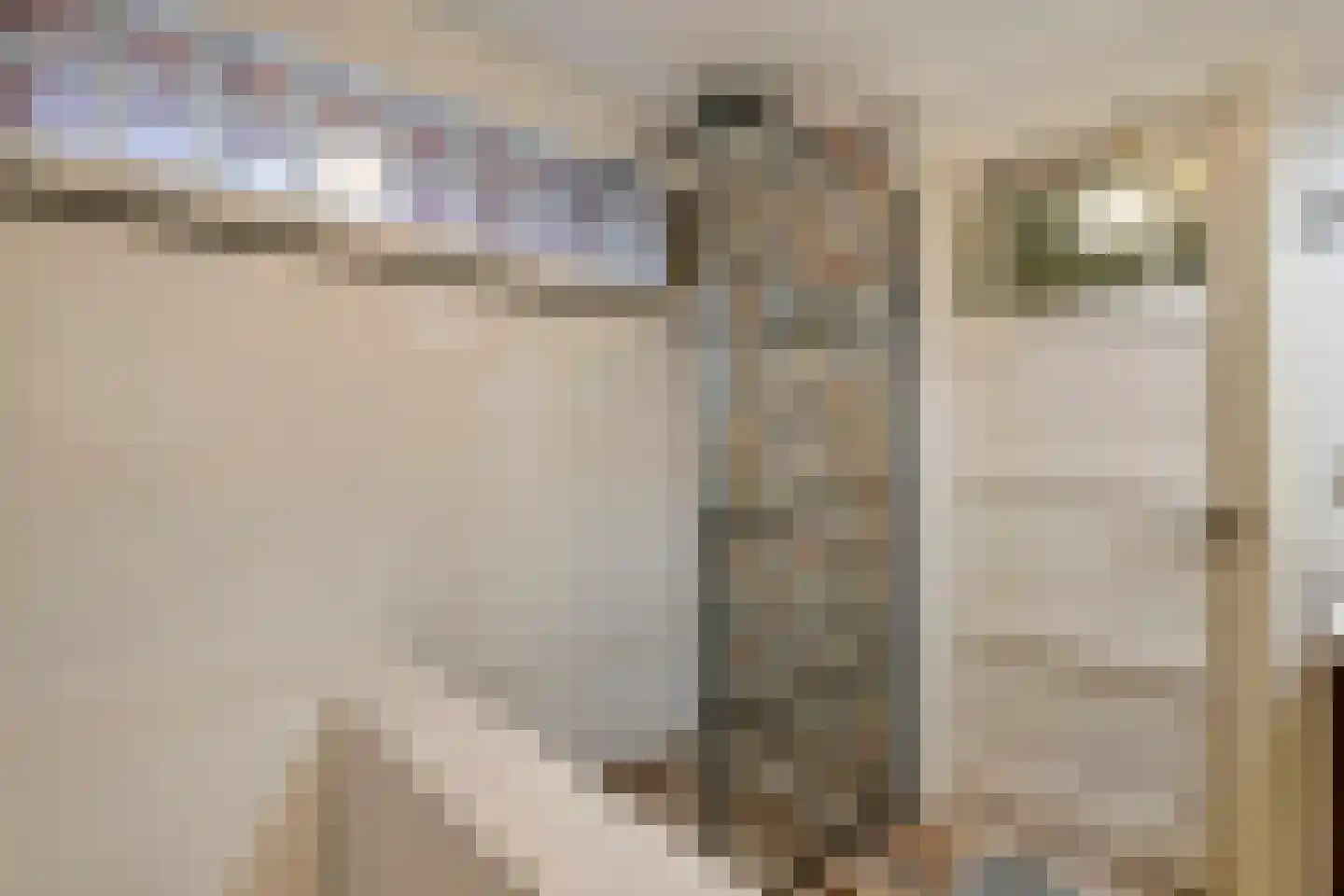 Tulpstraat 2 Tiel thumbnail 19