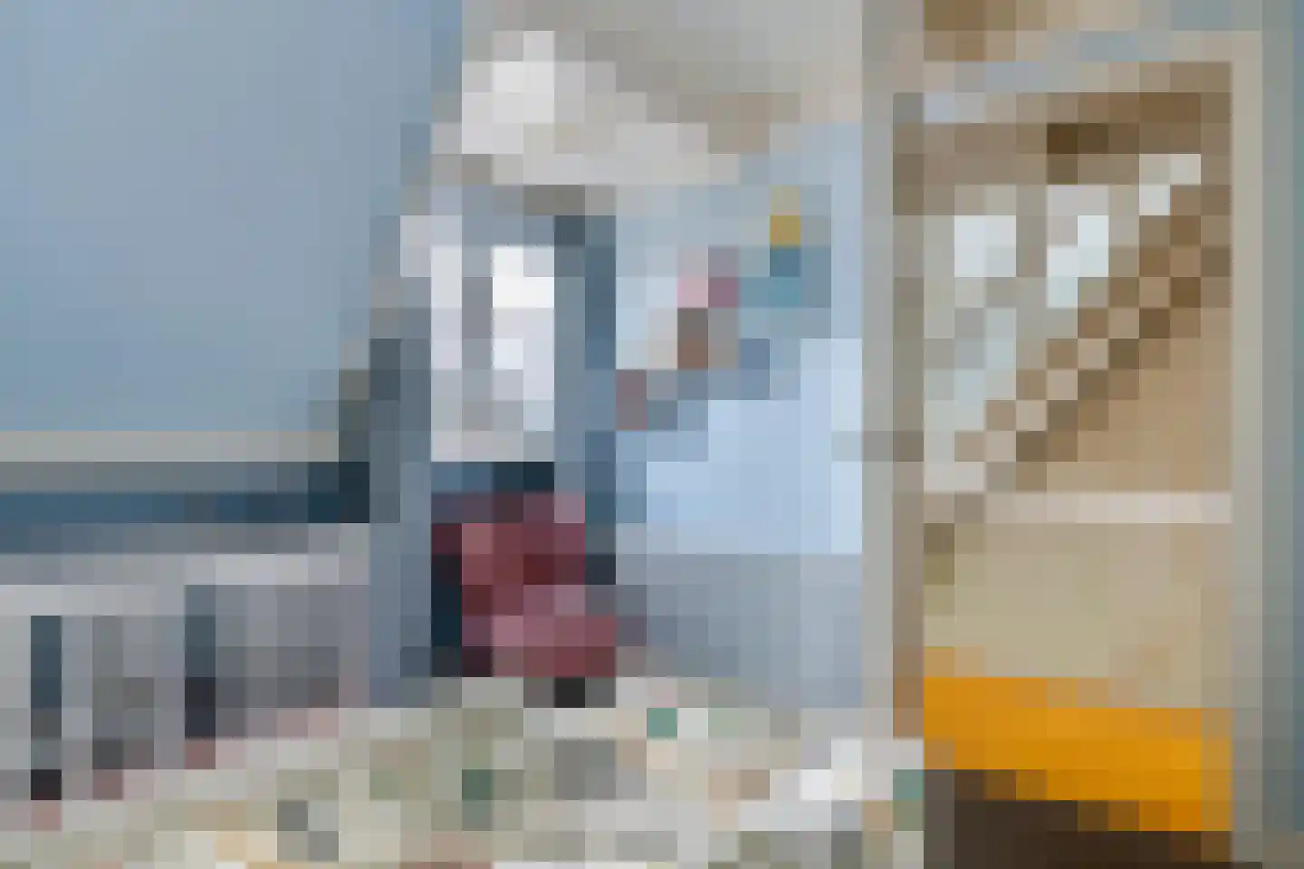 Tulpstraat 2 Tiel thumbnail 26