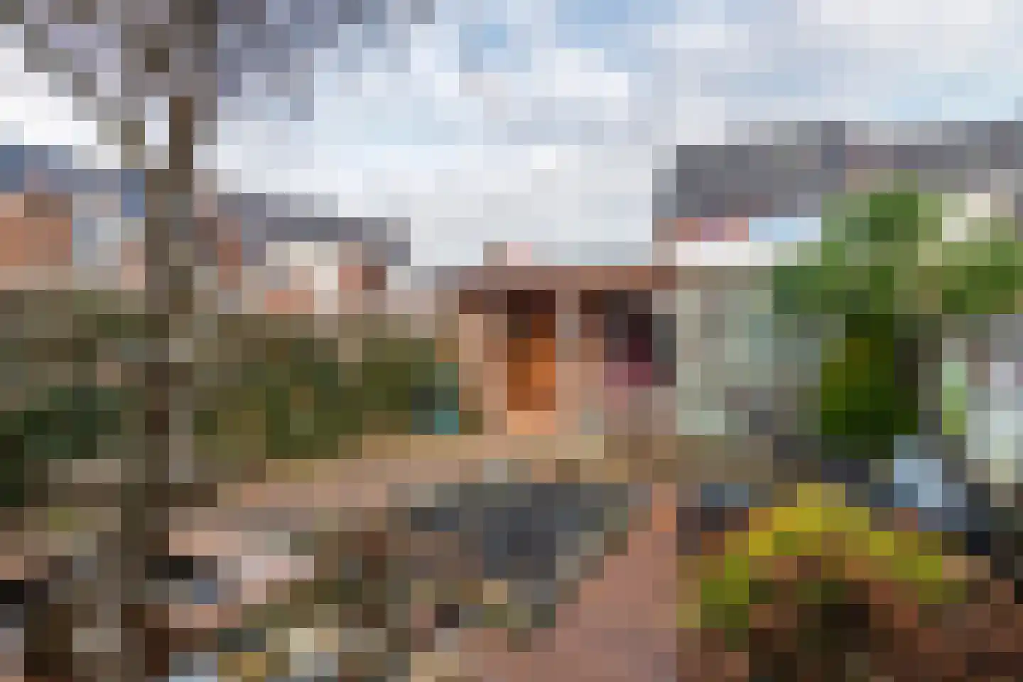 Tulpstraat 2 Tiel thumbnail 31