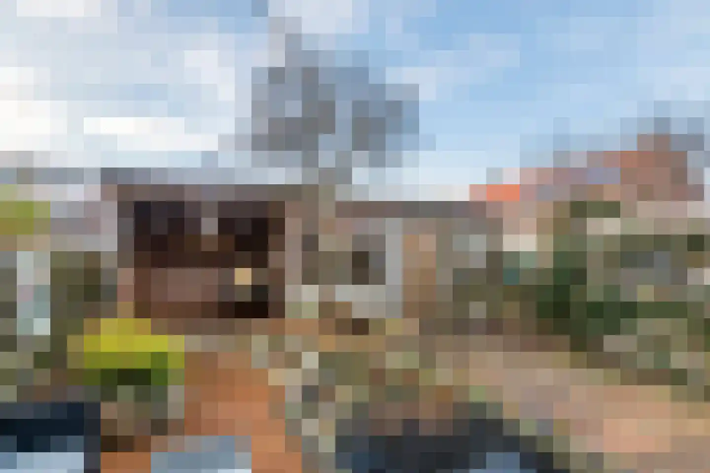 Tulpstraat 2 Tiel thumbnail 32
