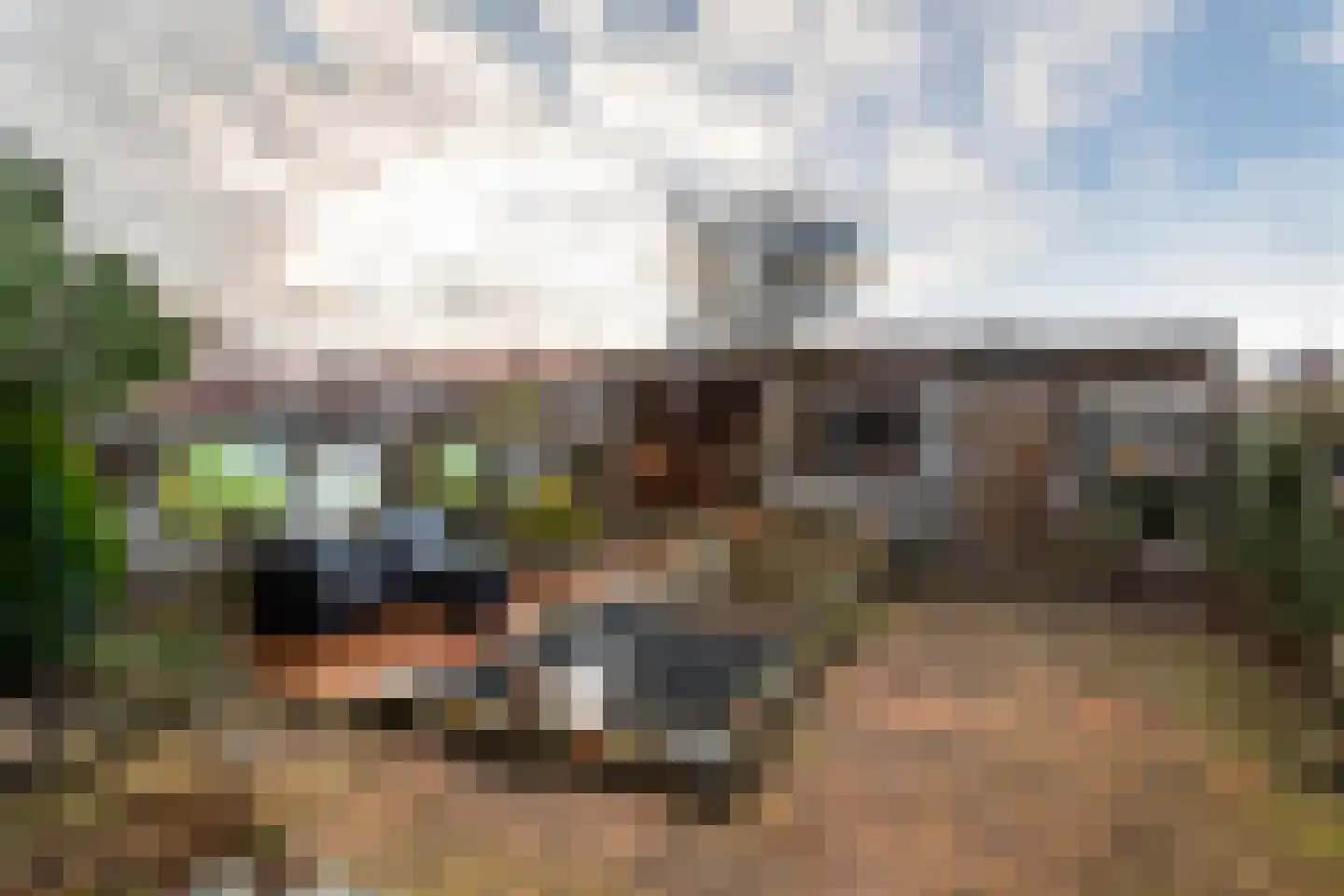 Tulpstraat 2 Tiel thumbnail 33