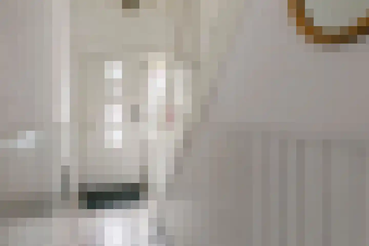 Tulpstraat 2 Tiel thumbnail 4
