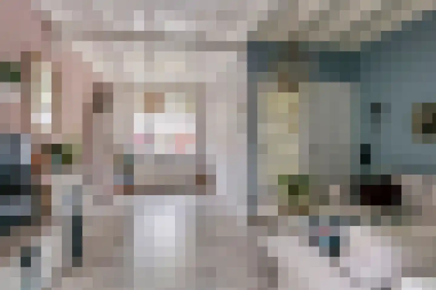 Tulpstraat 2 Tiel thumbnail 9