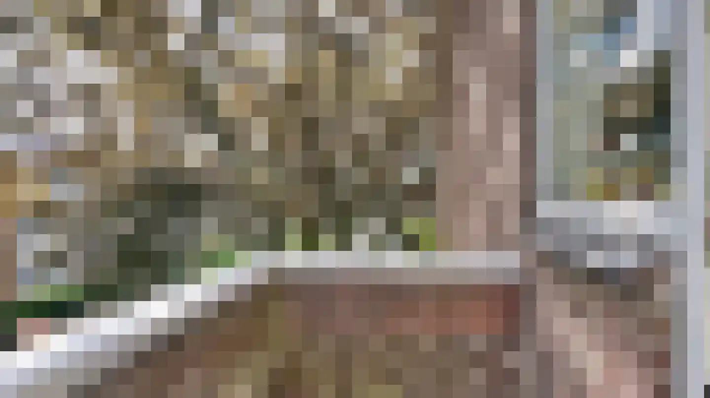 Tulpstraat 20 Rijswijk thumbnail 15